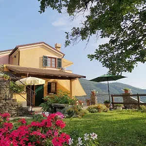 Elsa House Mezzanego